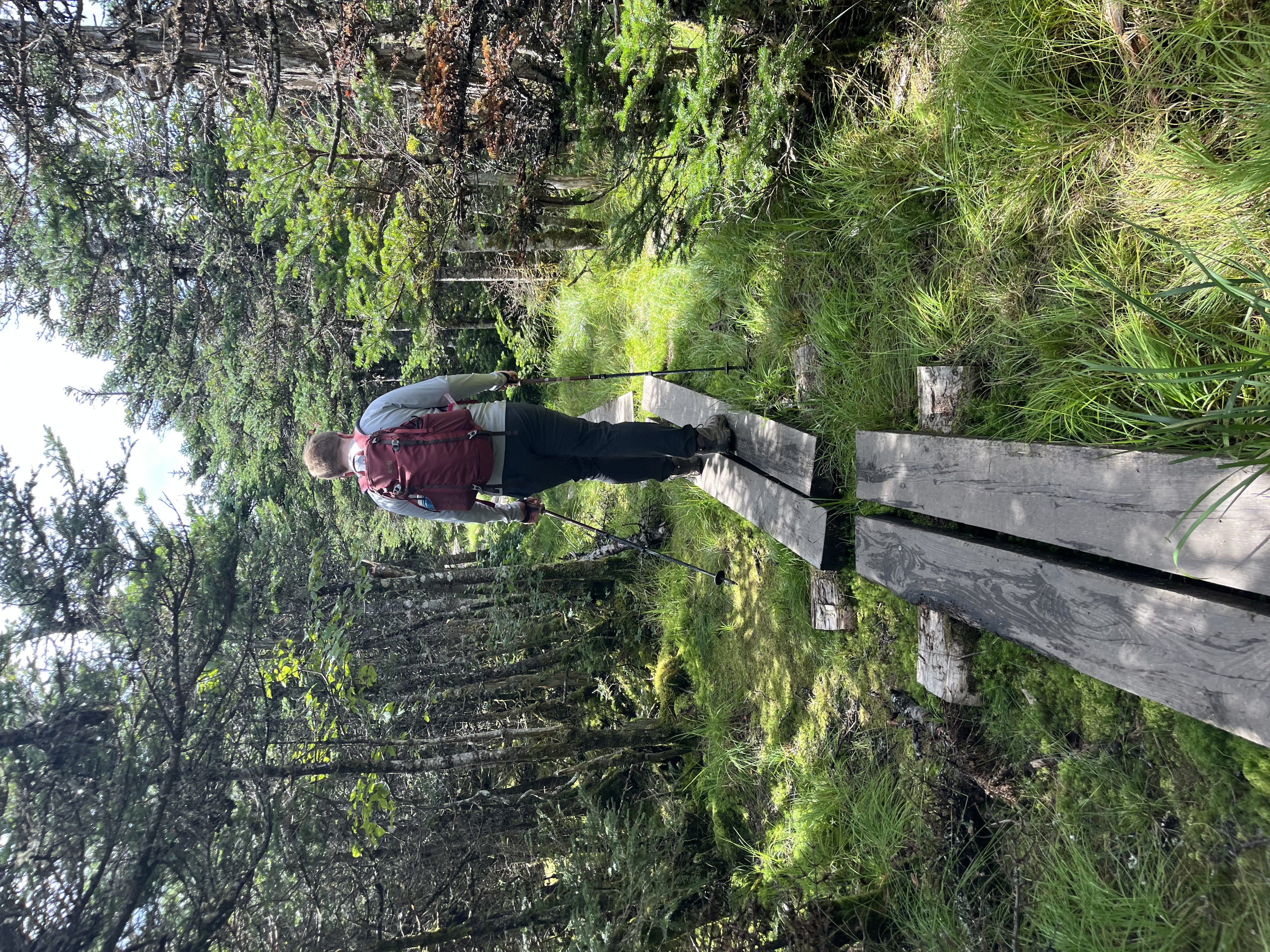 Phil Breton hiking in the Presidential Range